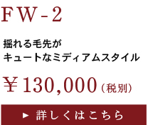 fw2.jpg
